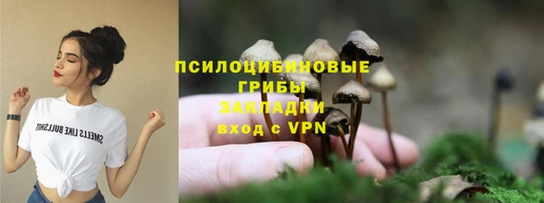 прущие грибы Абаза