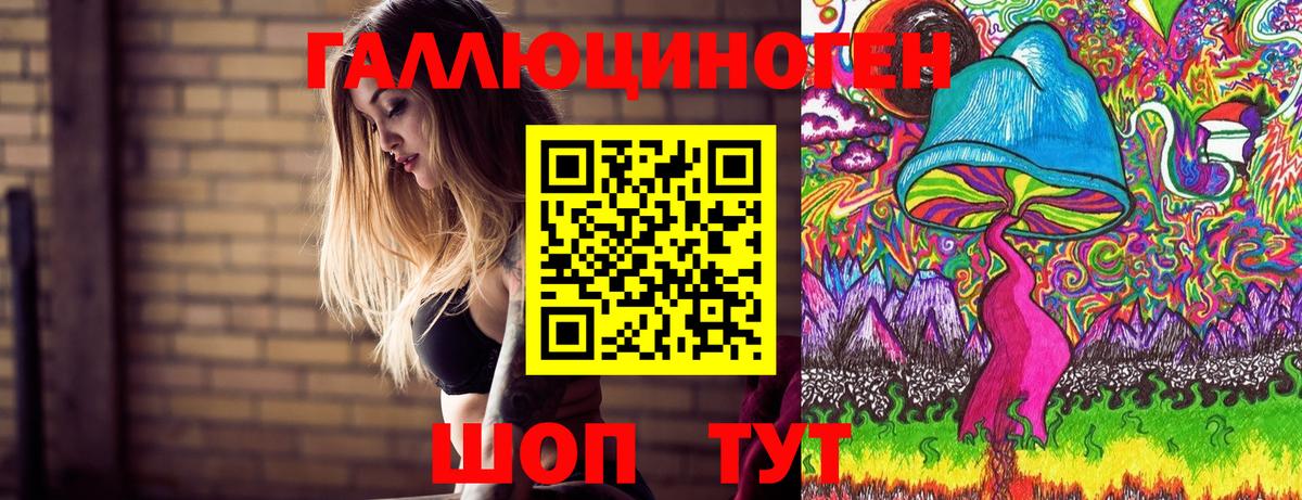 купить закладку  Вход с VPN  Магадан  Галлюциногенные грибы мухоморы 